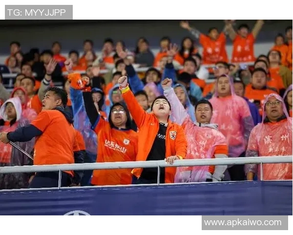 足球明星球迷热情围观精彩瞬间展现足球魅力与激情的完美结合